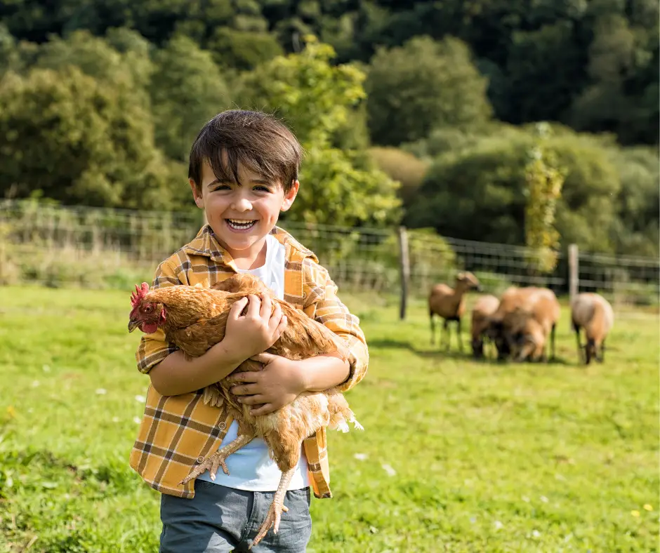 boy holding a chicken showing the benefits of backyard chickens