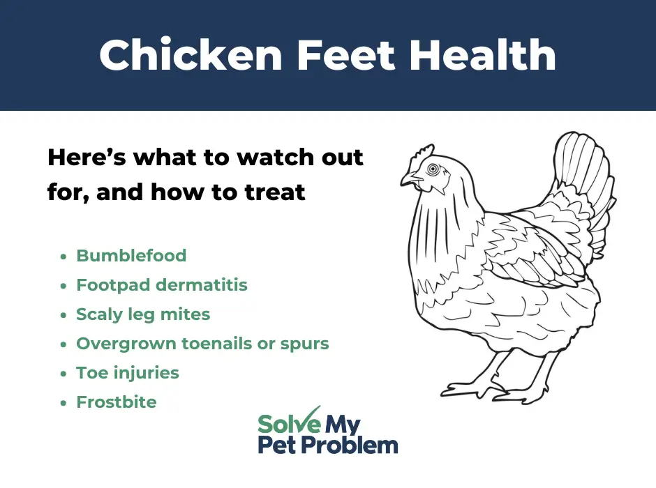 chicken feet health graphic